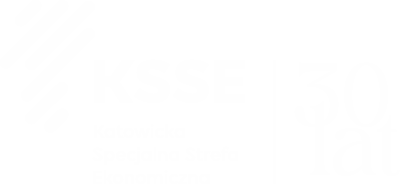 logo - KSSE 30 lat