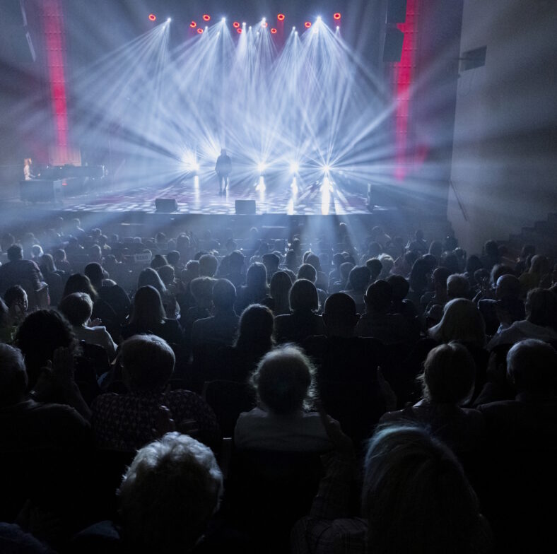 Publiczność podczas koncertu