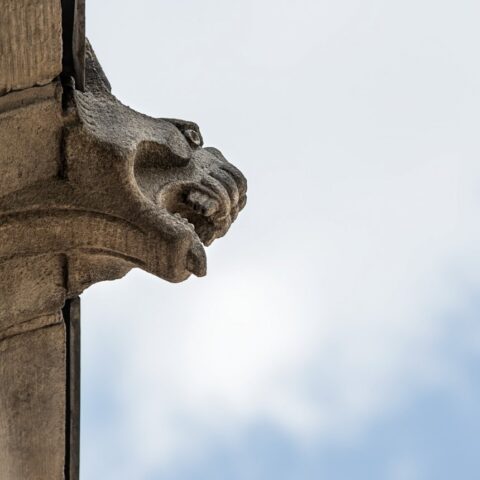 Zdjęcie promocyjne PKZ fot. Marek Wesołowski (7)_0