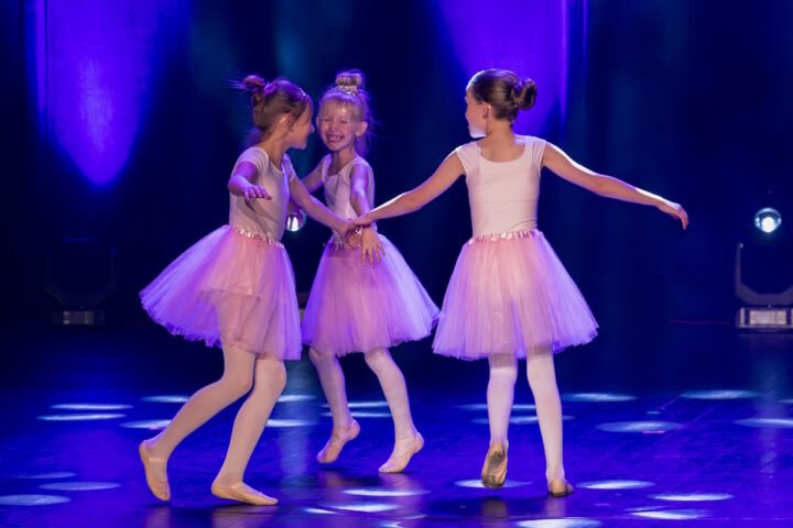 153 - Popis Artystyczny