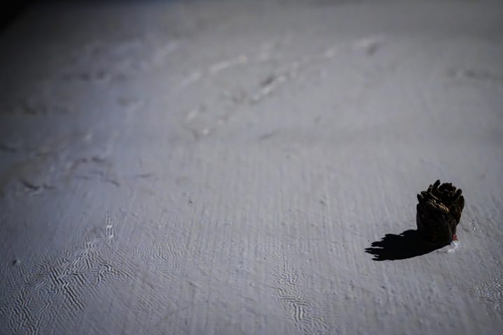 Brzask_dokumentacja_wystawy_milosz_wnukowski (18)