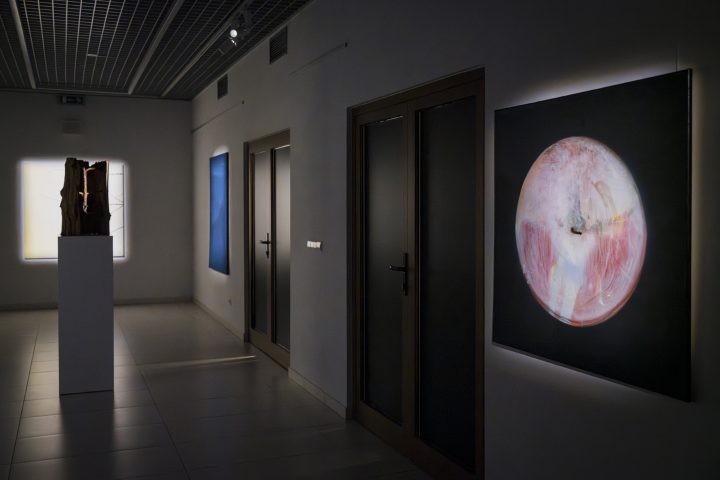 Brzask_dokumentacja_wystawy_milosz_wnukowski (20)