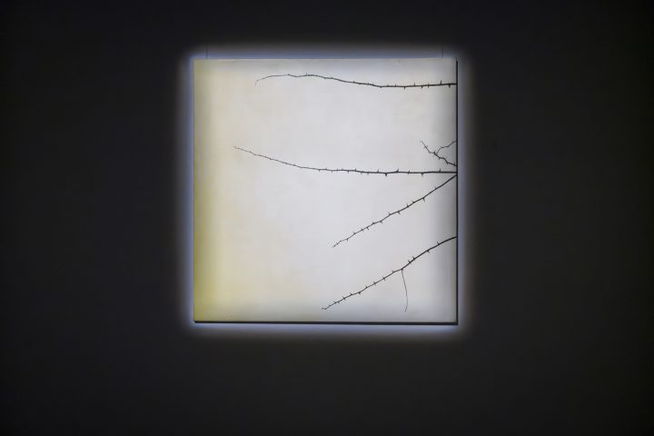 Brzask_dokumentacja_wystawy_milosz_wnukowski (21)