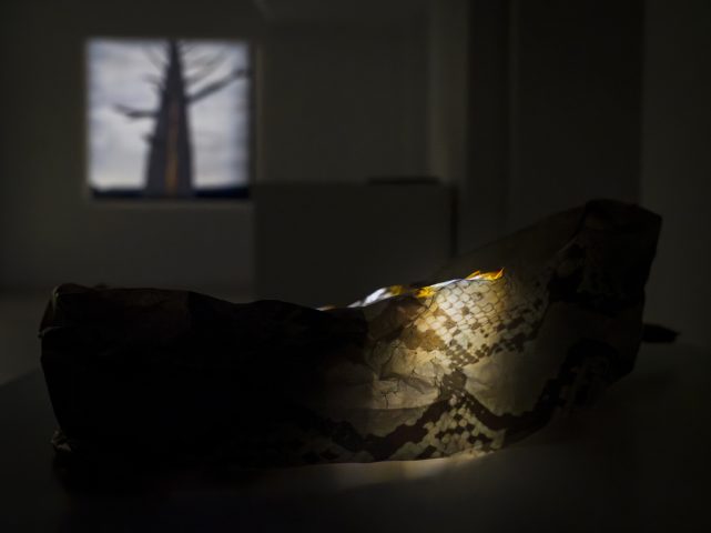 Brzask_dokumentacja_wystawy_milosz_wnukowski (26)