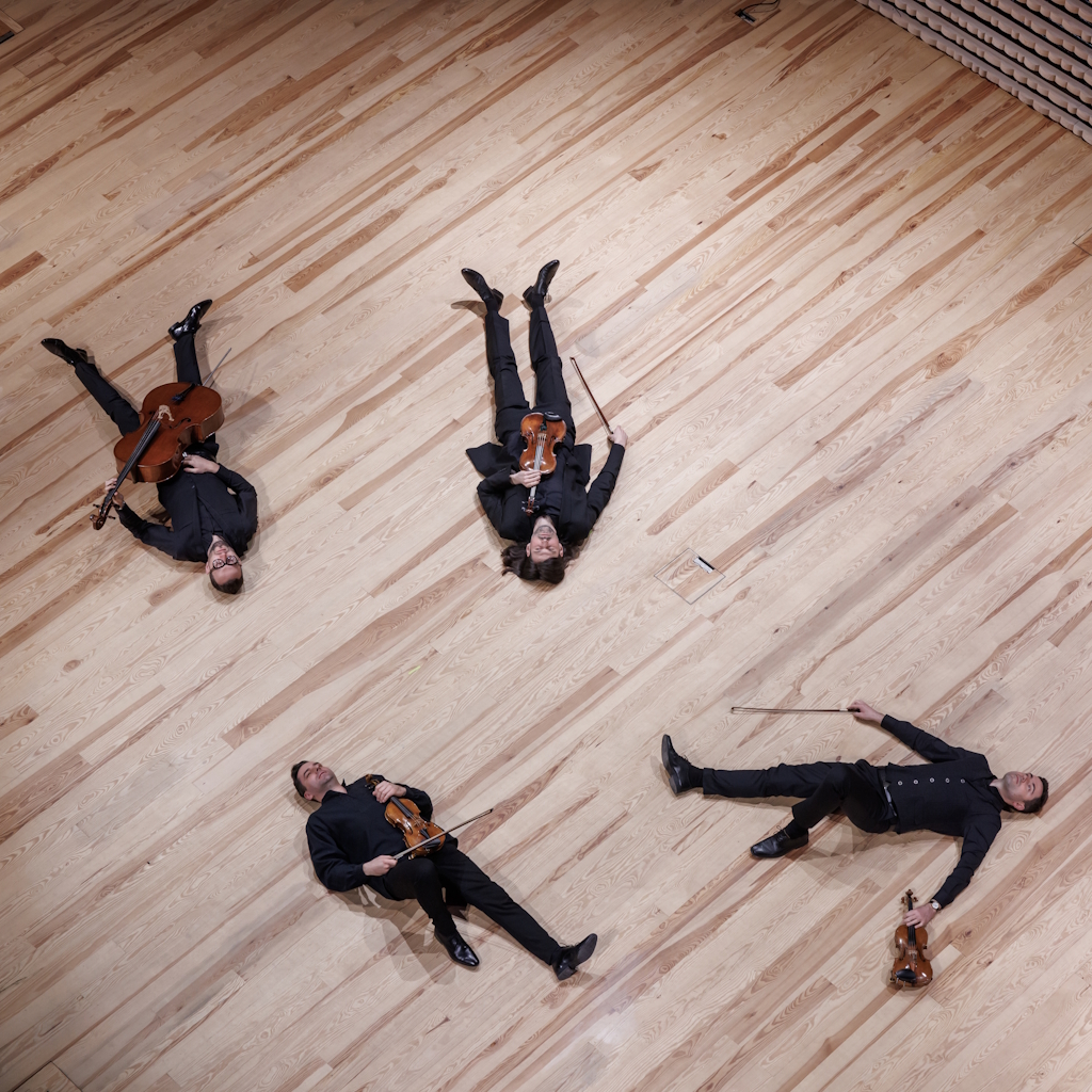 Zdjęcie Atom String Quartet