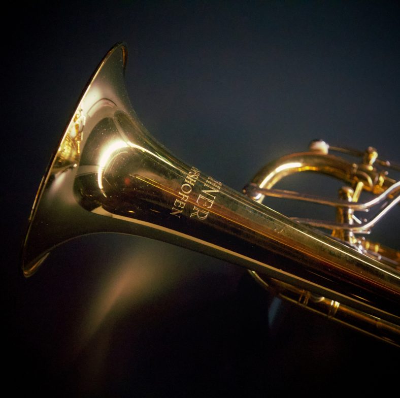 Zdjęcie instrumentu: trąbka