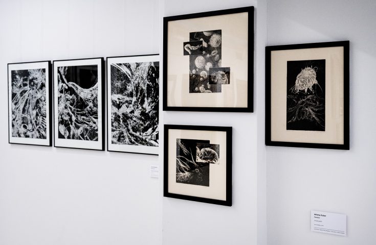 odbitka_finalna_dokumentacja_wystawy (9)