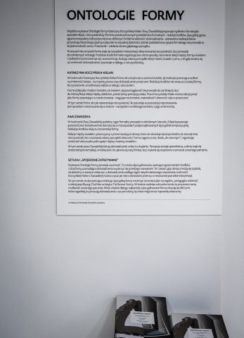 ontologie_formy_dokumentacja_wystawy (1)