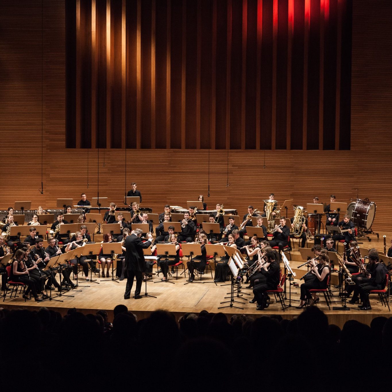 Akademicka Orkiestra Dęta, fot. Marlena Faerber