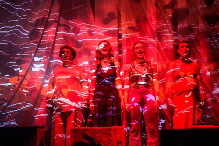 Matki śnieżne, fot Przemysław Jendroska (9)