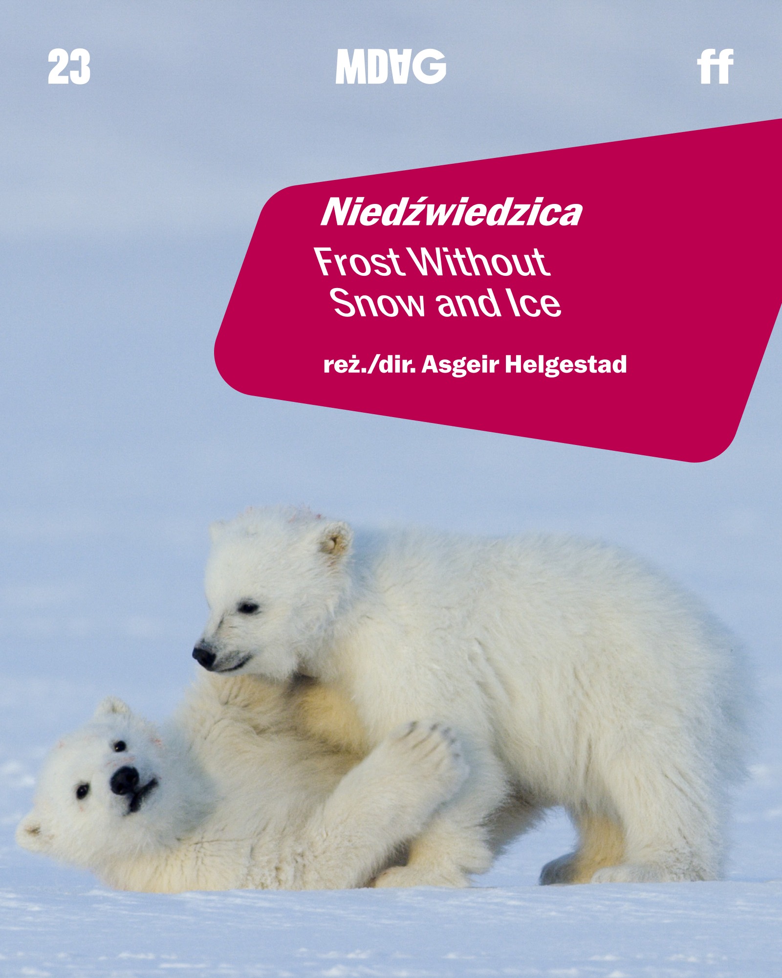 Niedźwiedzica plakat