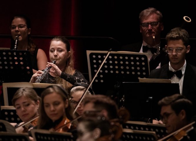 005 - Dąbrowianin w Paryżu-koncert