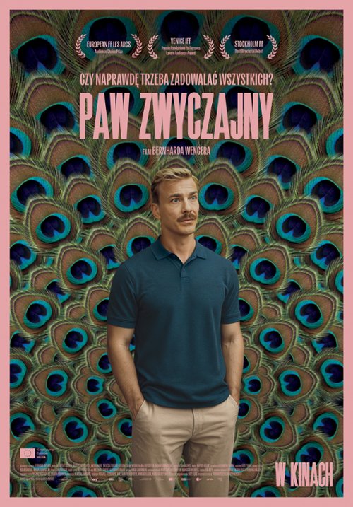 Plakat paw zwyczajny
