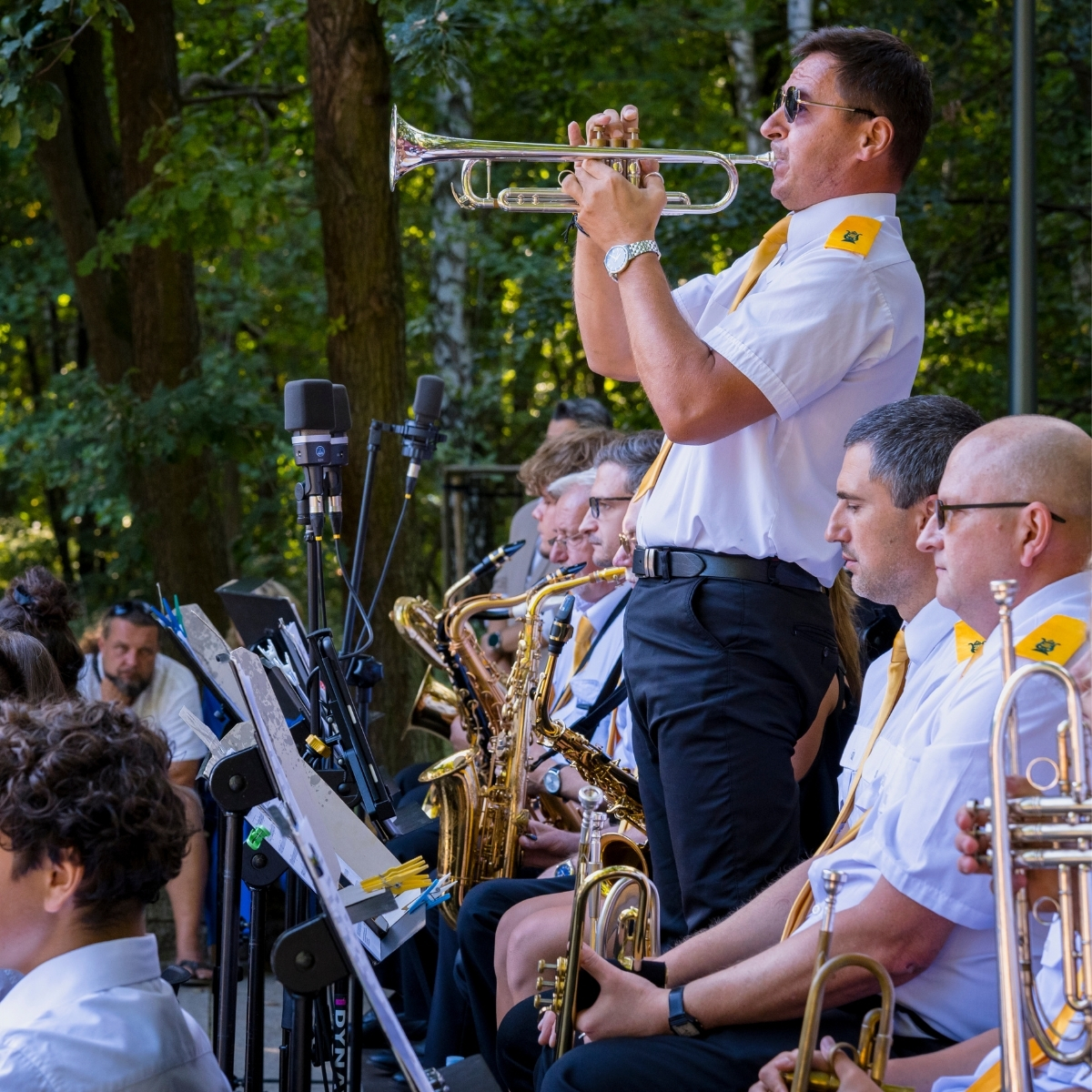 zdjęcie promujące koncert plenerowy miejskiej orkiestry dętej park podlesie
