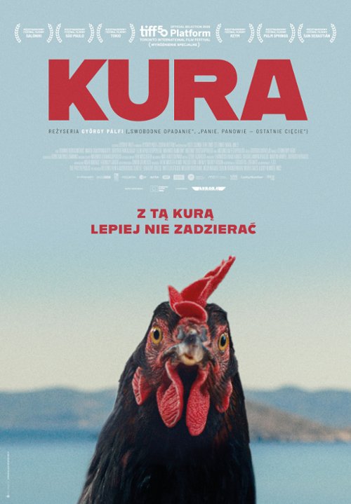 Kura plakat