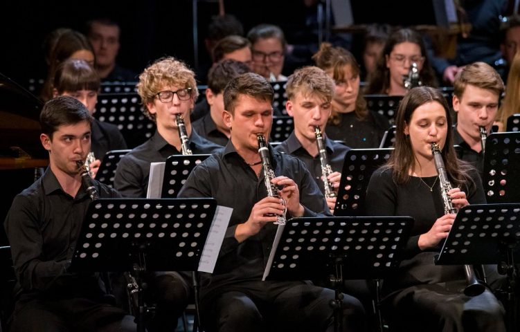 Zdjęcie relacjonujące Koncert Finałowy VI Festiwalu Spisaka1.png