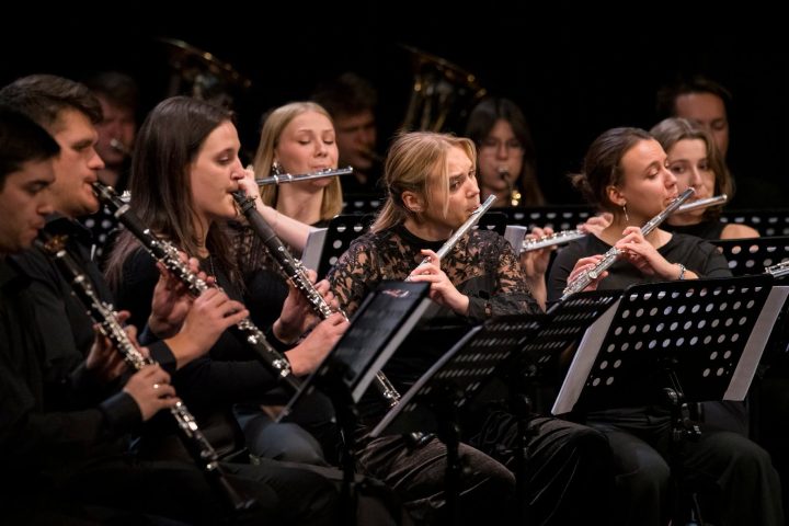 Zdjęcie relacjonujące Koncert Finałowy VI Festiwalu Spisaka17.png